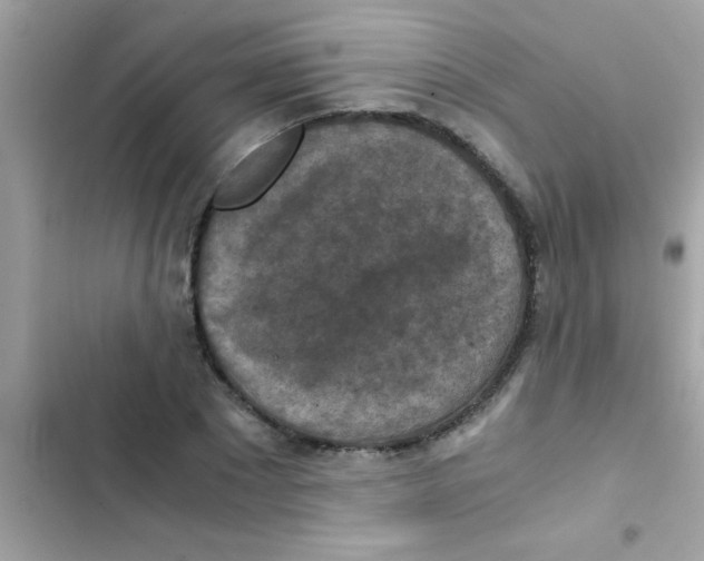 X0000103140881200809192003