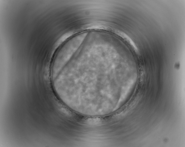 X0000103140882200809192003