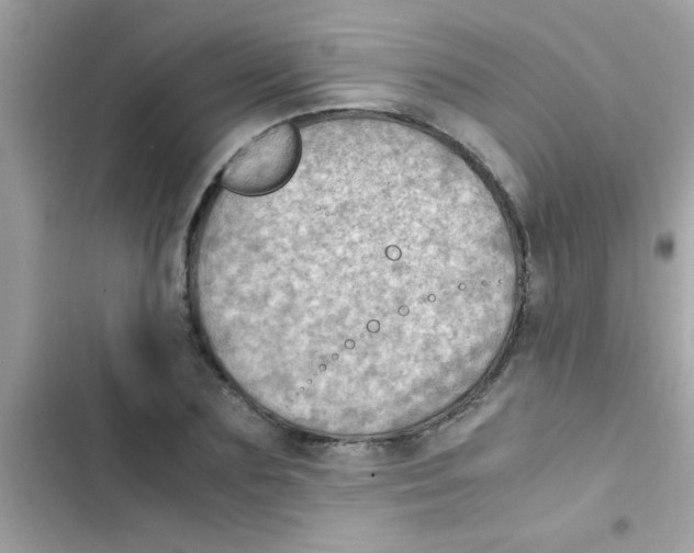 X0000103140883200809192003