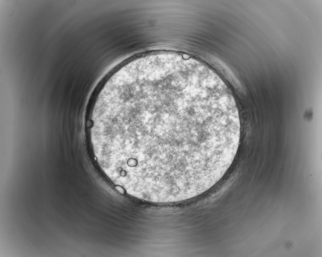 X0000103140884200809192003