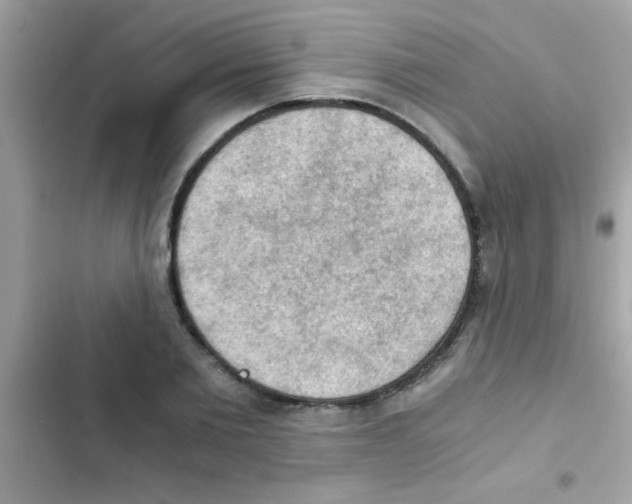 X0000103140885200809192003