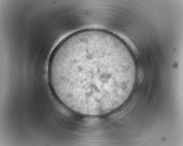 X0000103140886200809192003