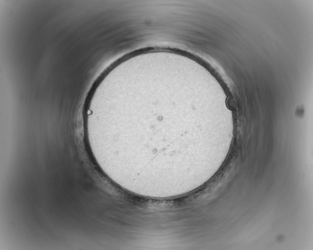 X0000103140887200809192003