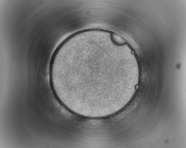 X0000103140888200809192003