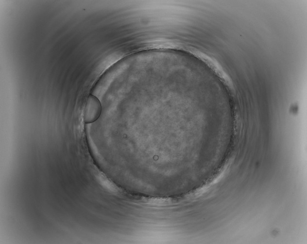 X0000103140889200809192003