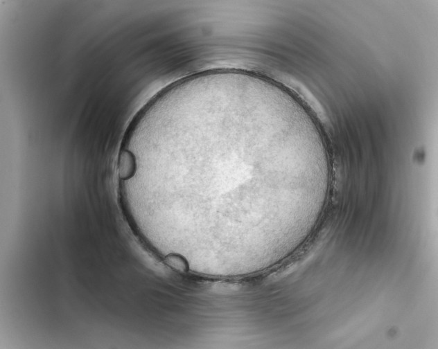 X0000103140890200809192003