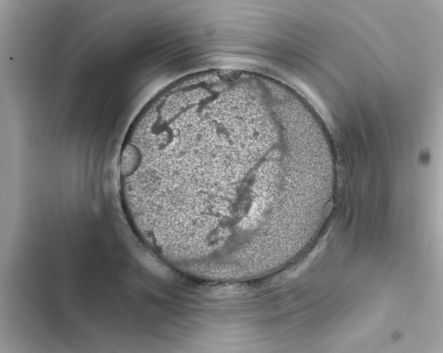 X0000103140891200809192002