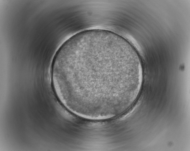 X0000103140892200809192002