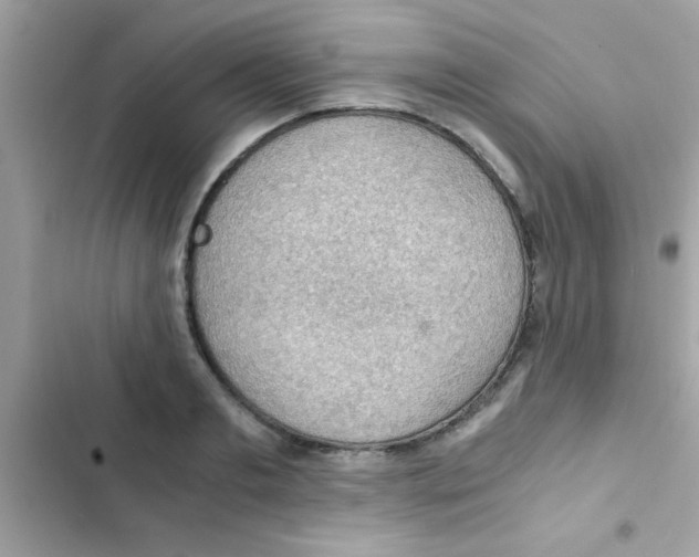 X0000103140893200809192002