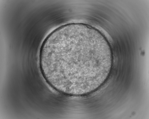 X0000103140894200809192002