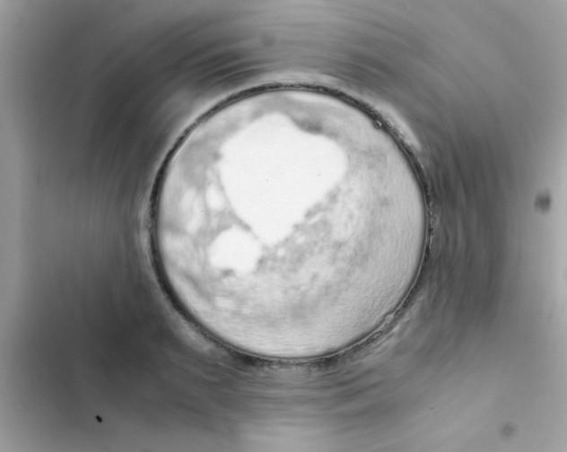 X0000103140895200809192002