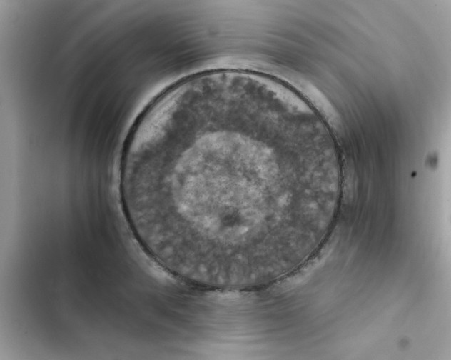 X0000103140896200809192002