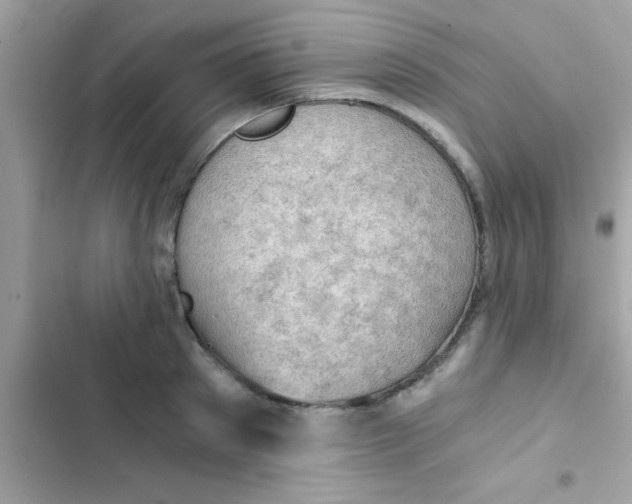 X0000103140897200809192002