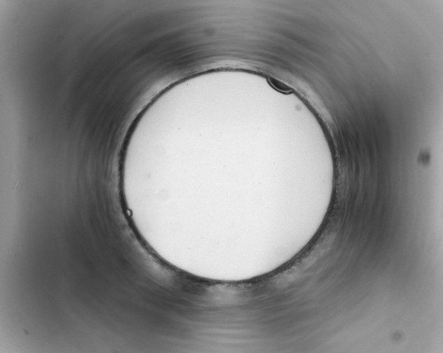 X0000103140898200809192002