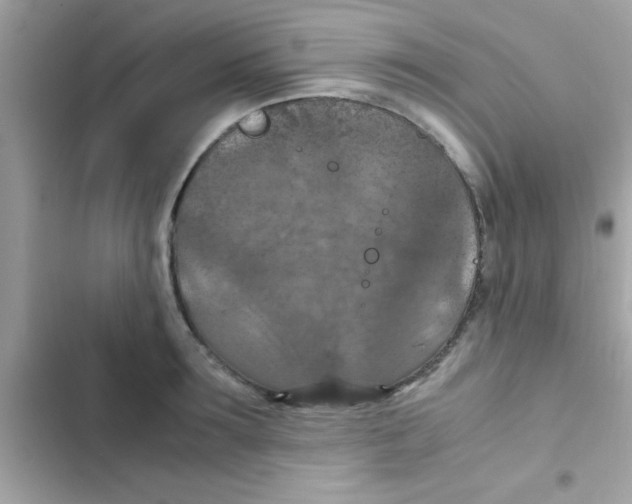 X0000103140899200809192002