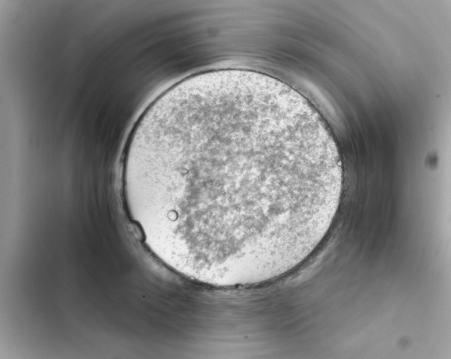 X0000103140900200809192002