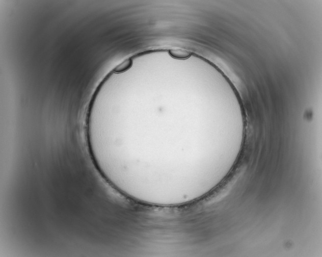 X0000103140901200809192002