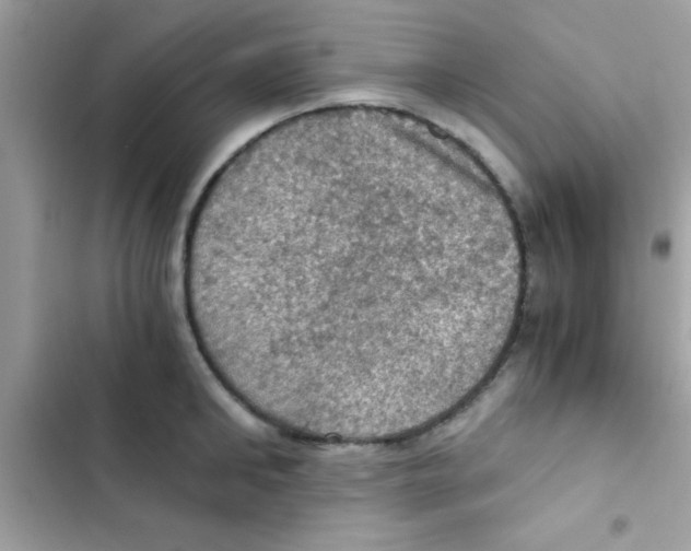 X0000103140902200809192002