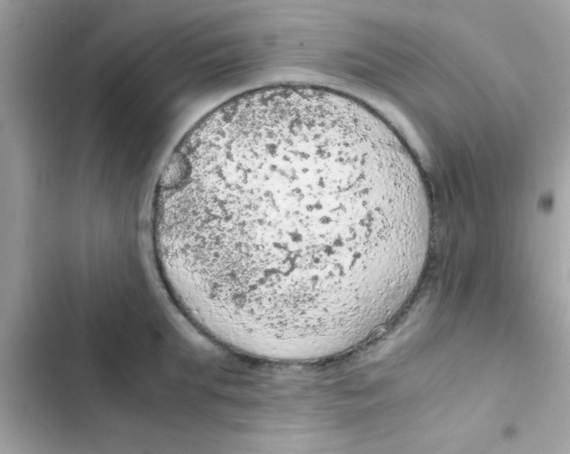 X0000103140903200809192002