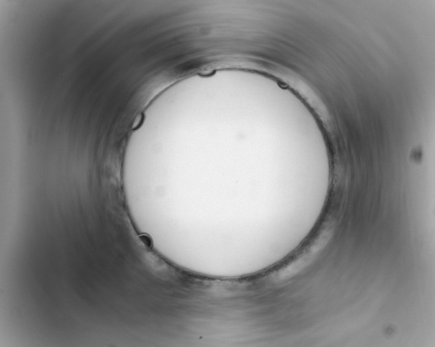 X0000103140905200809192002