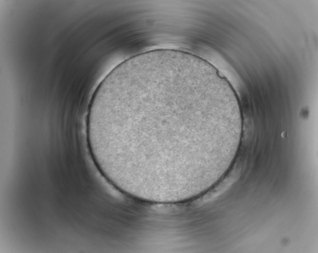 X0000103140906200809192002