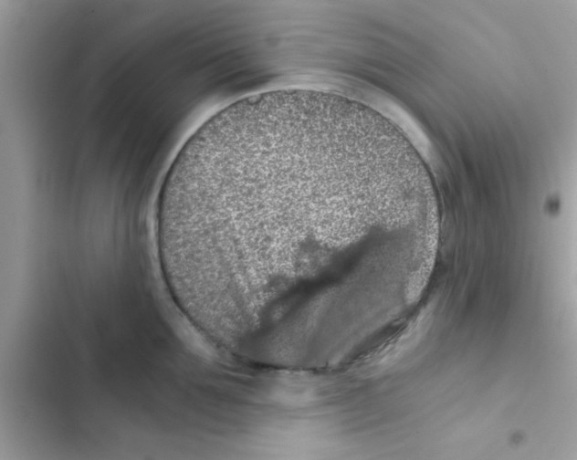 X0000103140907200809192002