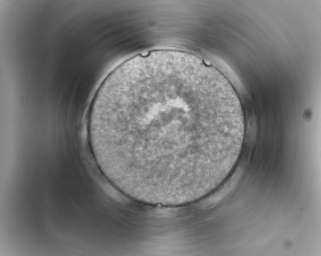 X0000103140908200809192002