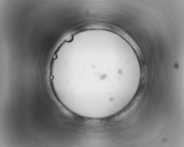 X0000103140909200809192002