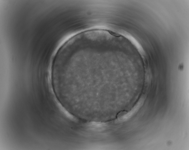 X0000103140910200809192002