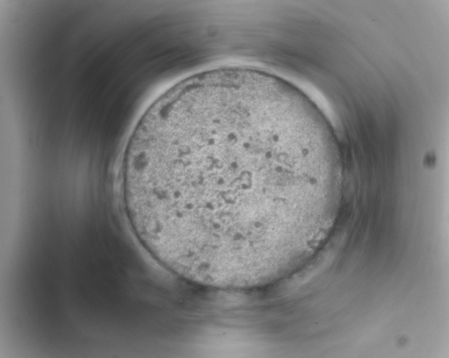 X0000103140911200809192002