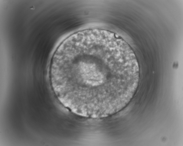 X0000103140912200809192002