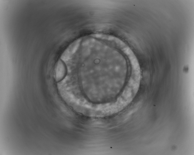 X0000103140913200809192001