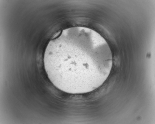 X0000103140915200809192001