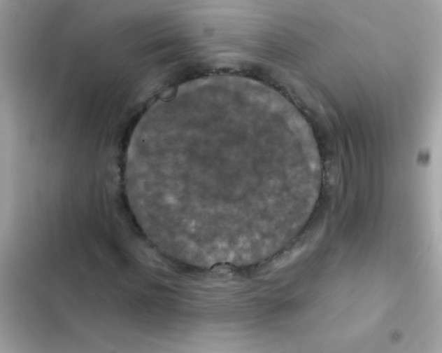 X0000103140916200809192001