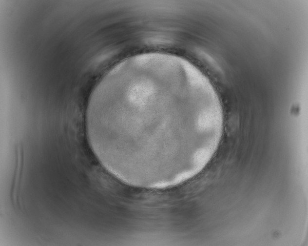 X0000103140917200809192001