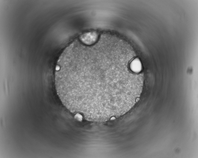 X0000103140918200809192001