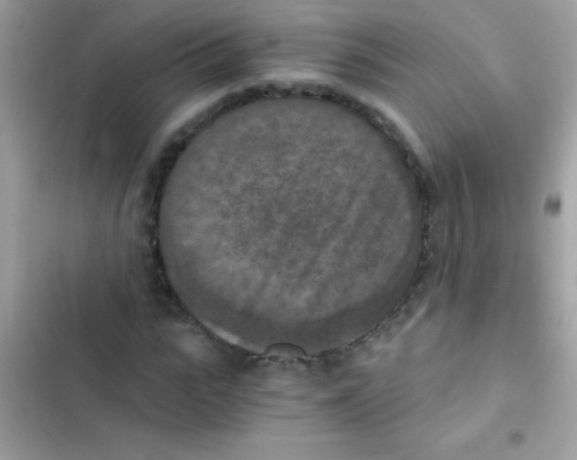 X0000103140919200809192001