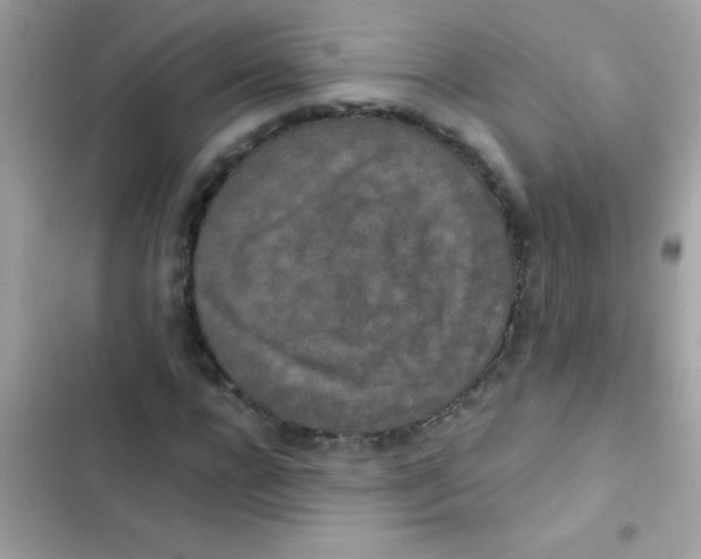 X0000103140920200809192001