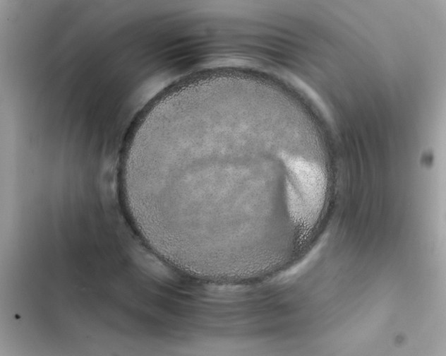 X0000103140921200809192001