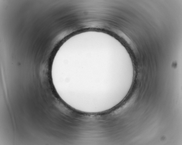 X0000103140922200809192001