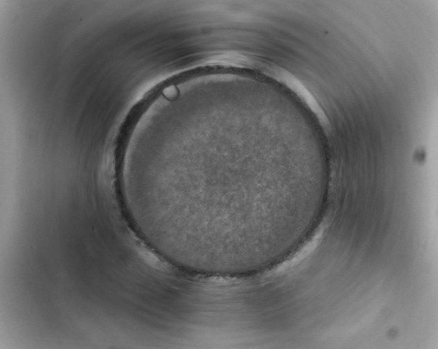 X0000103140923200809192001