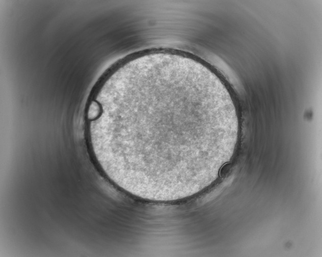 X0000103140924200809192002