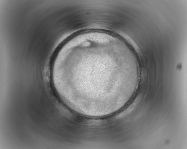 X0000103140925200809192002