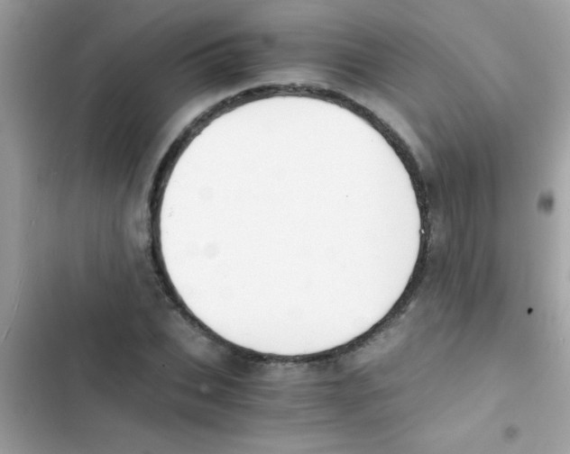 X0000103140927200809192002