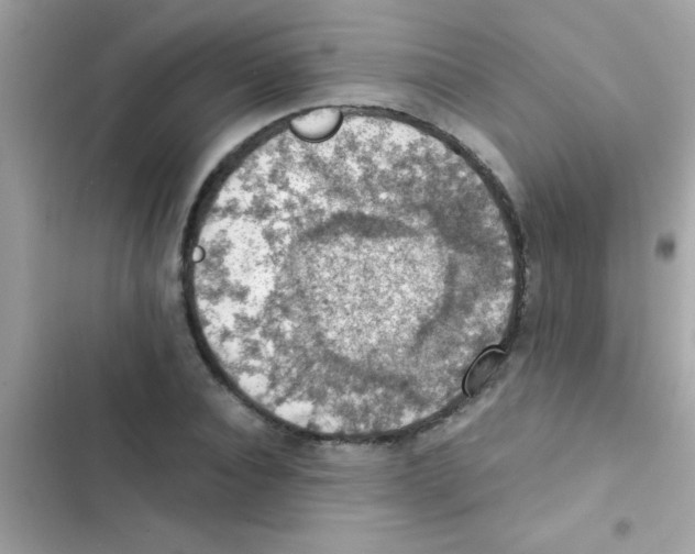 X0000103140928200809192002