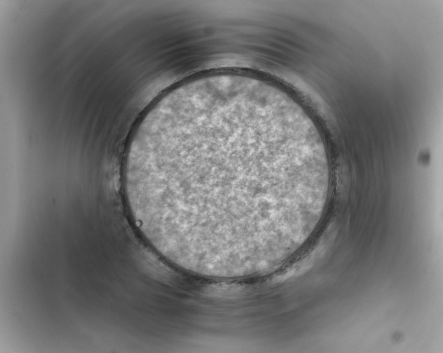 X0000103140929200809192002