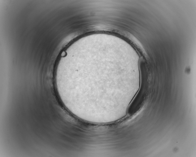 X0000103140930200809192002