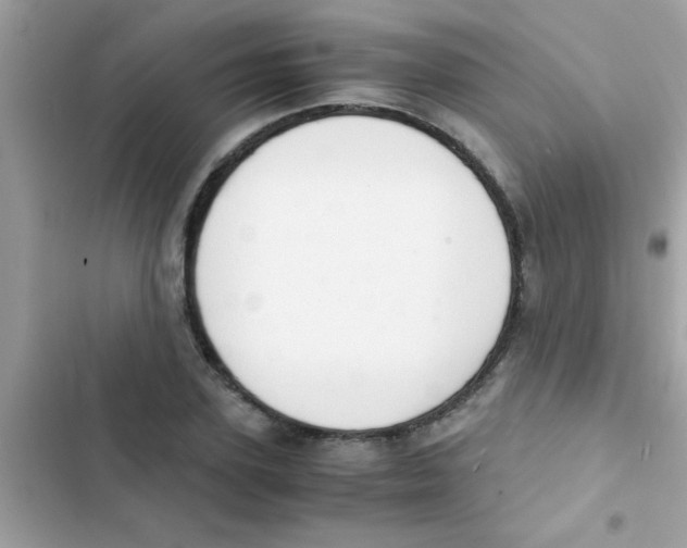 X0000103140931200809192002