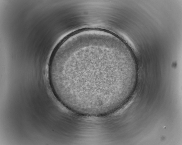 X0000103140932200809192002