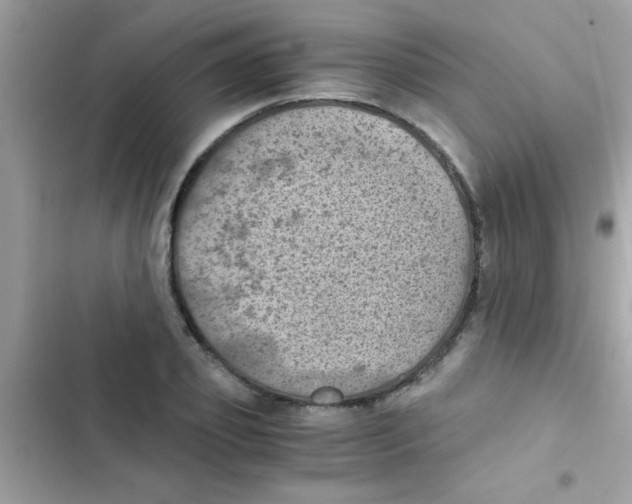 X0000103140933200809192002